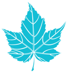 maple-leaf